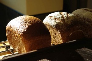 Loafweb